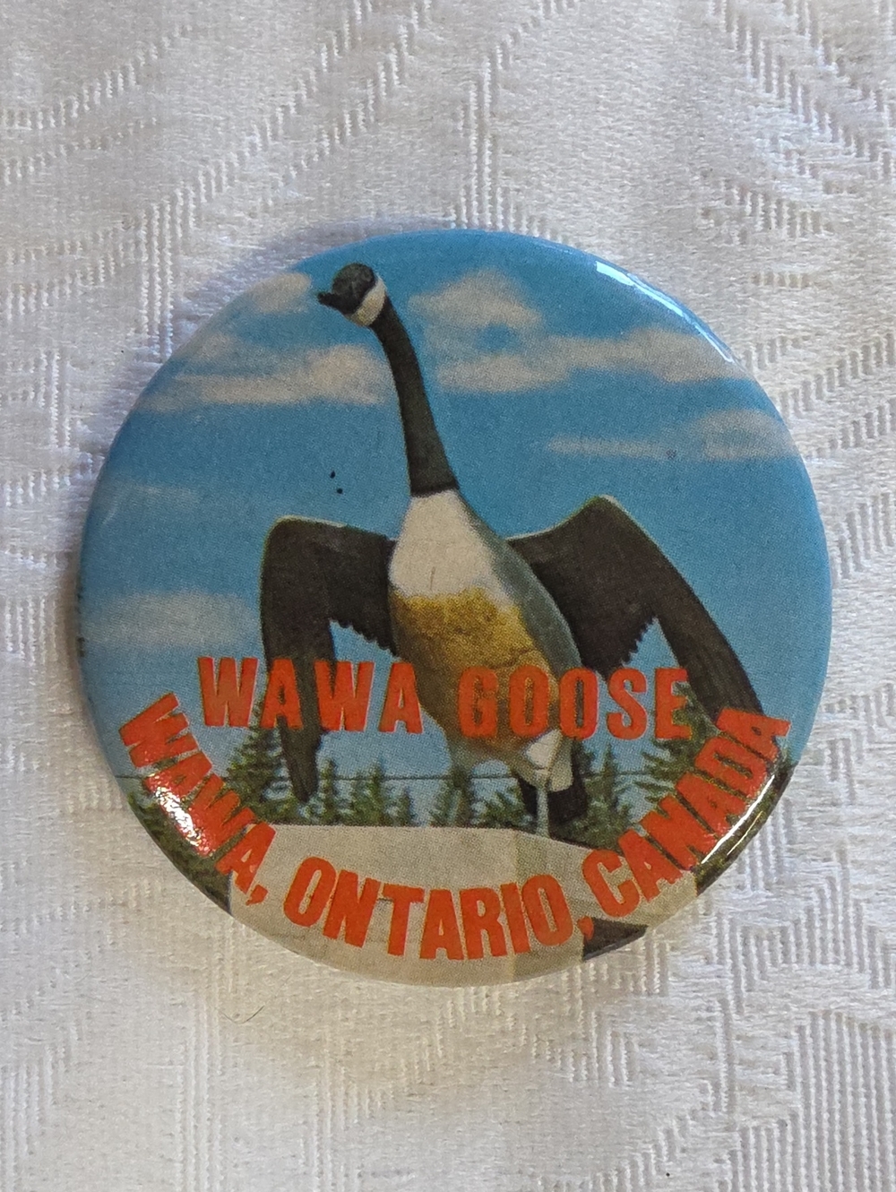 Vintage Wawa Goose Souvenir Pin | Wawa, Ontario Canada | Roadside Attraction